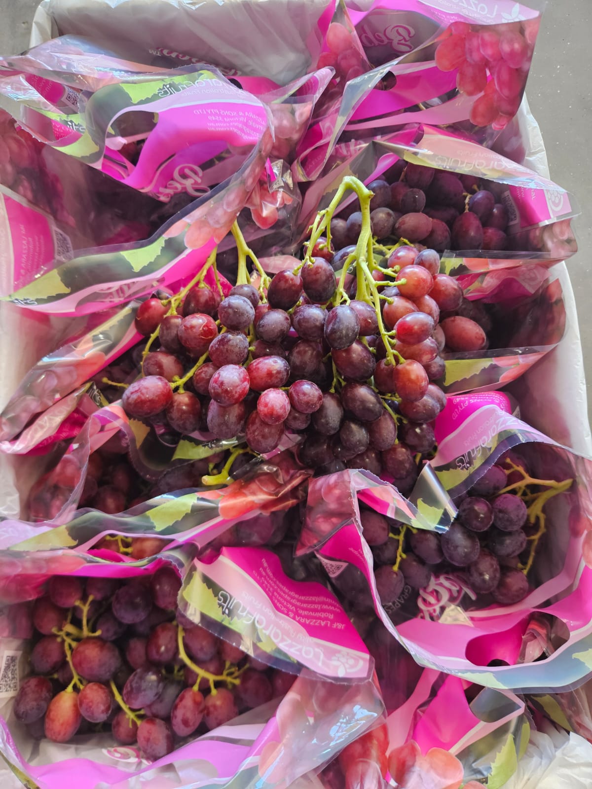 Beebop Red Grapes