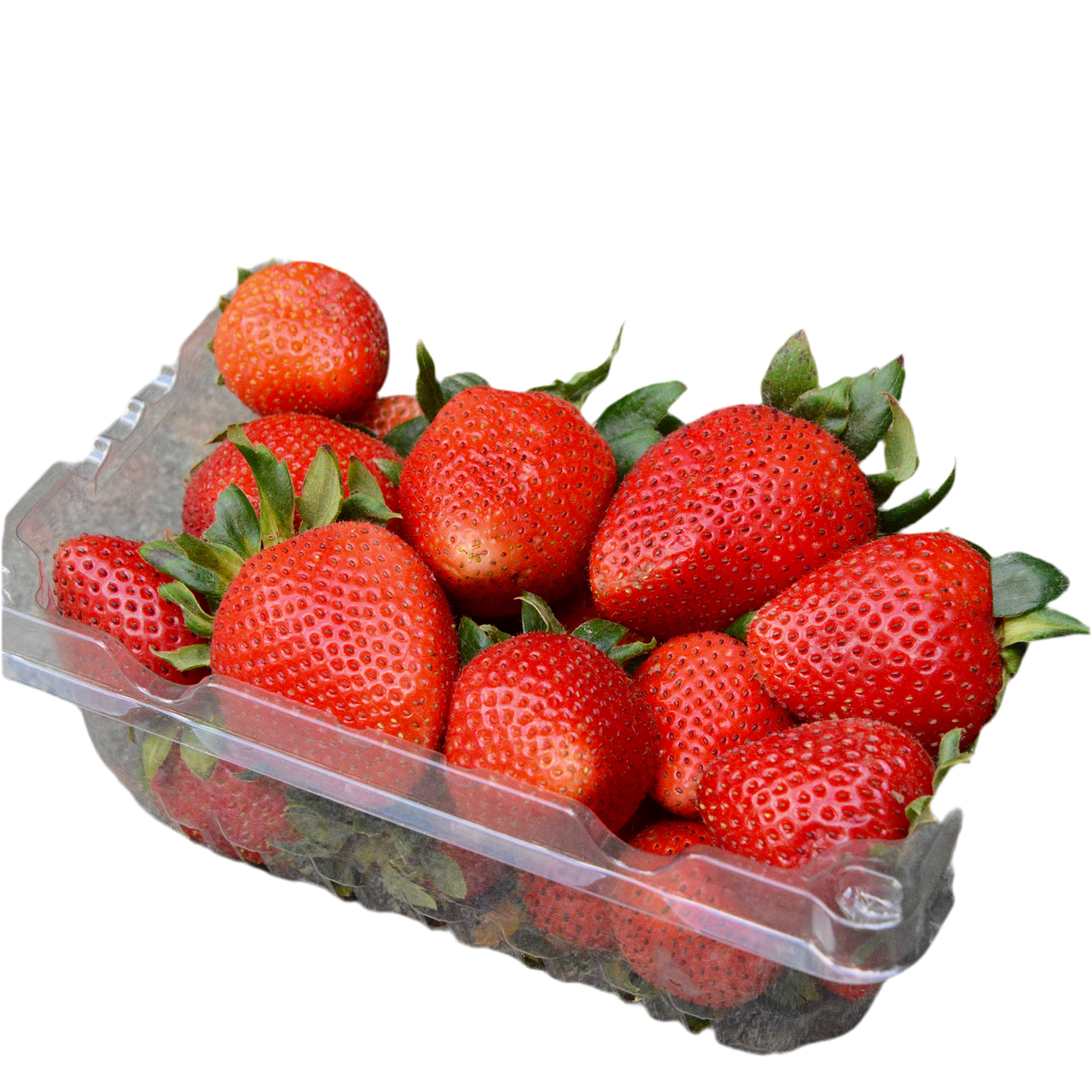 US Strawberries