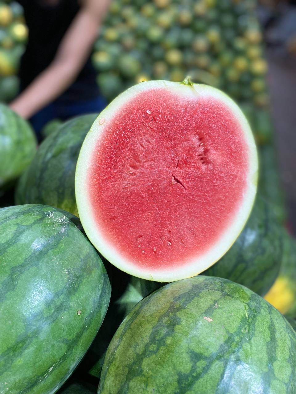 Seedless Watermelon