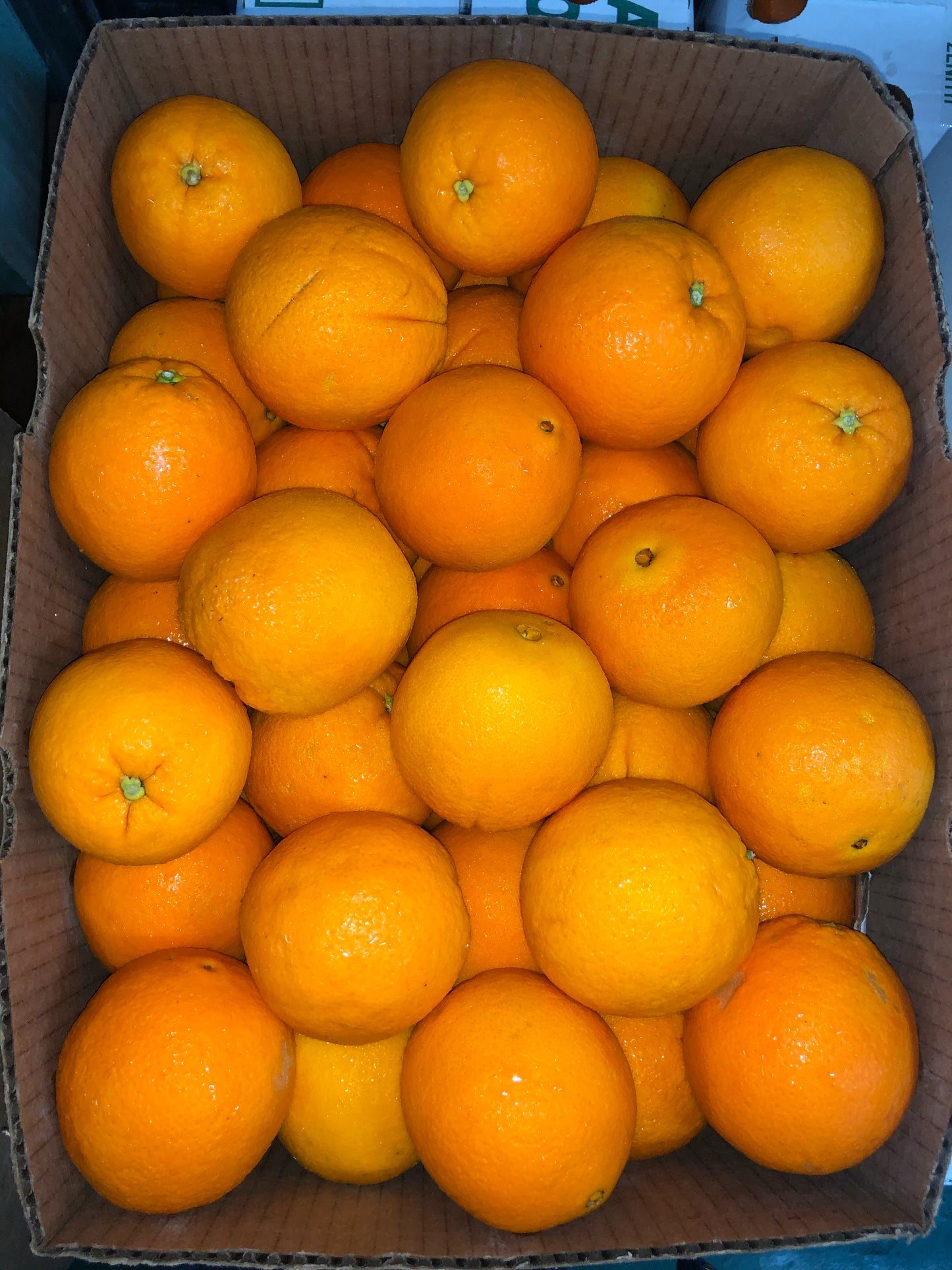 Navel Oranges (medium)