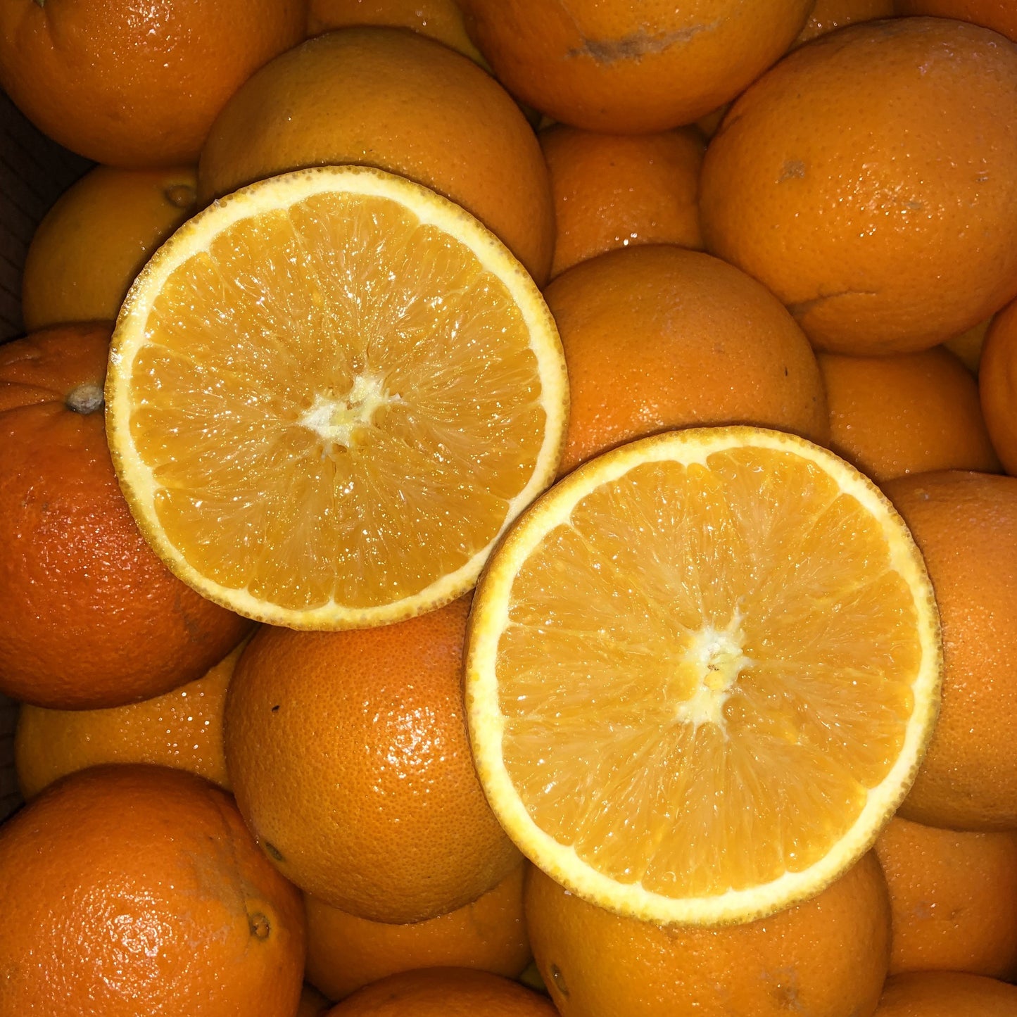 Navel Oranges (medium)