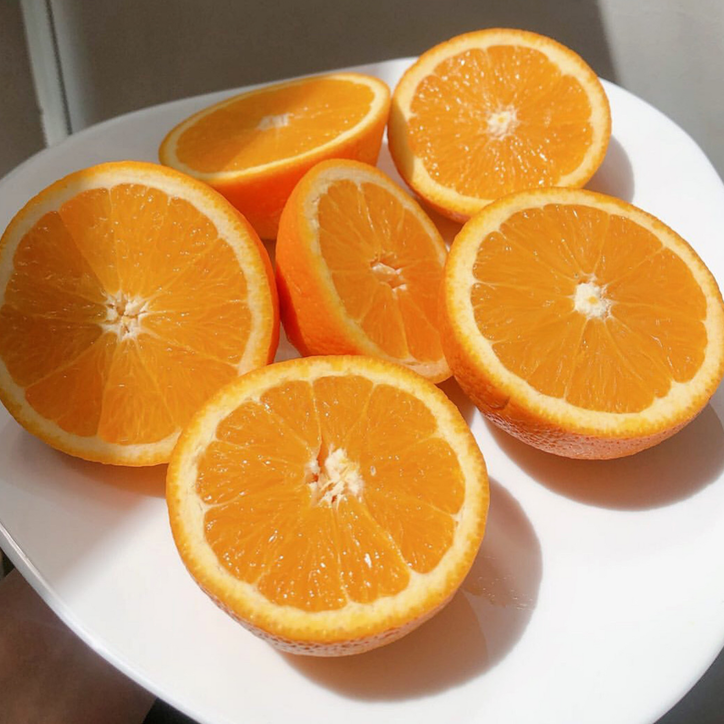 Navel Oranges (medium)