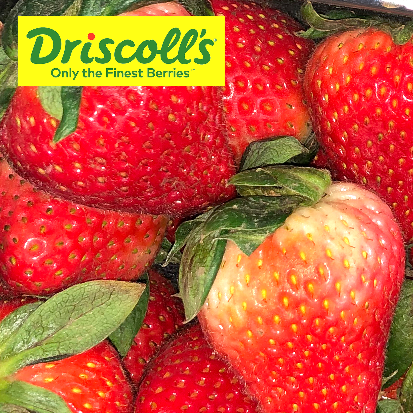 US Strawberries