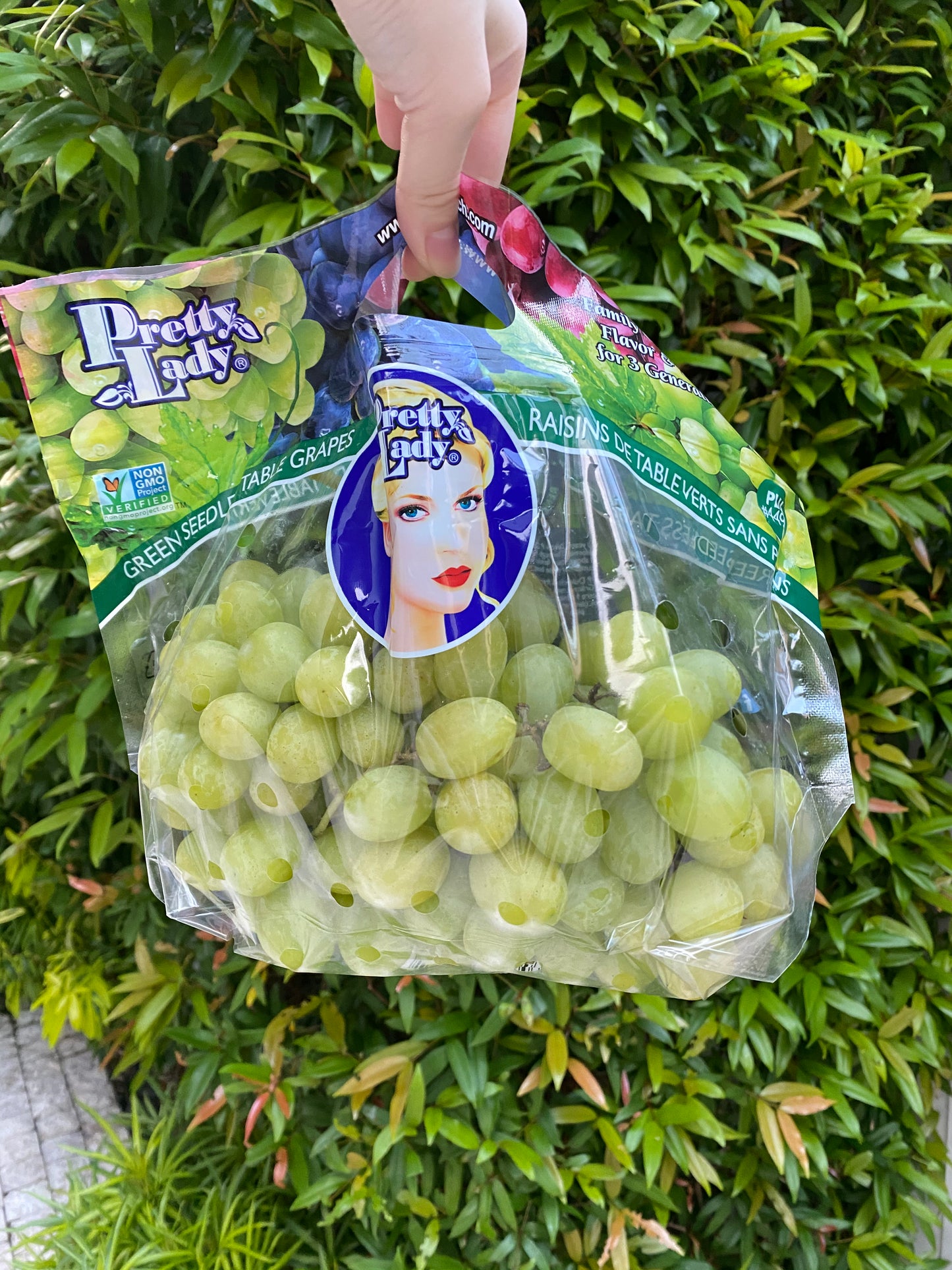 Sweet Globe Green Grapes