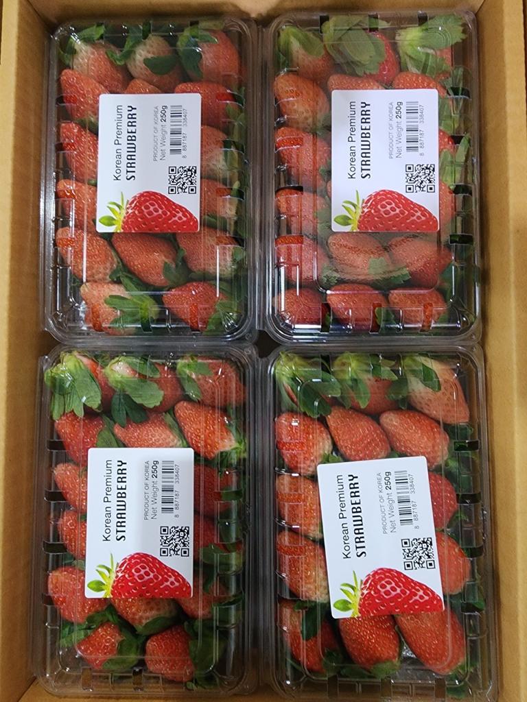 Korean Strawberries