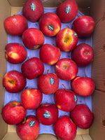 Load image into Gallery viewer, Dazzle Apples
