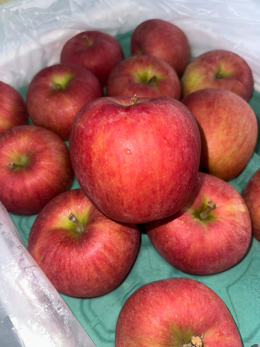 Japanese Red Apples