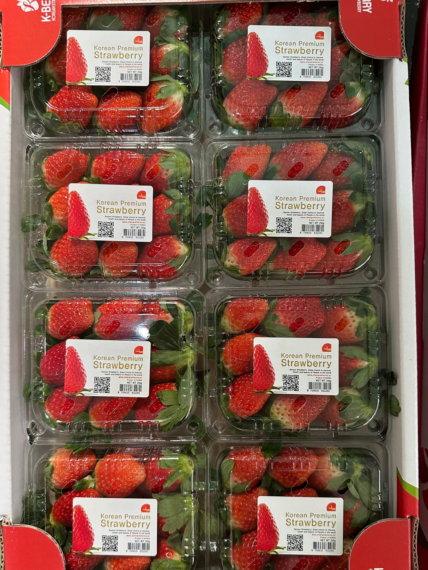 Korean Strawberry Gift Box