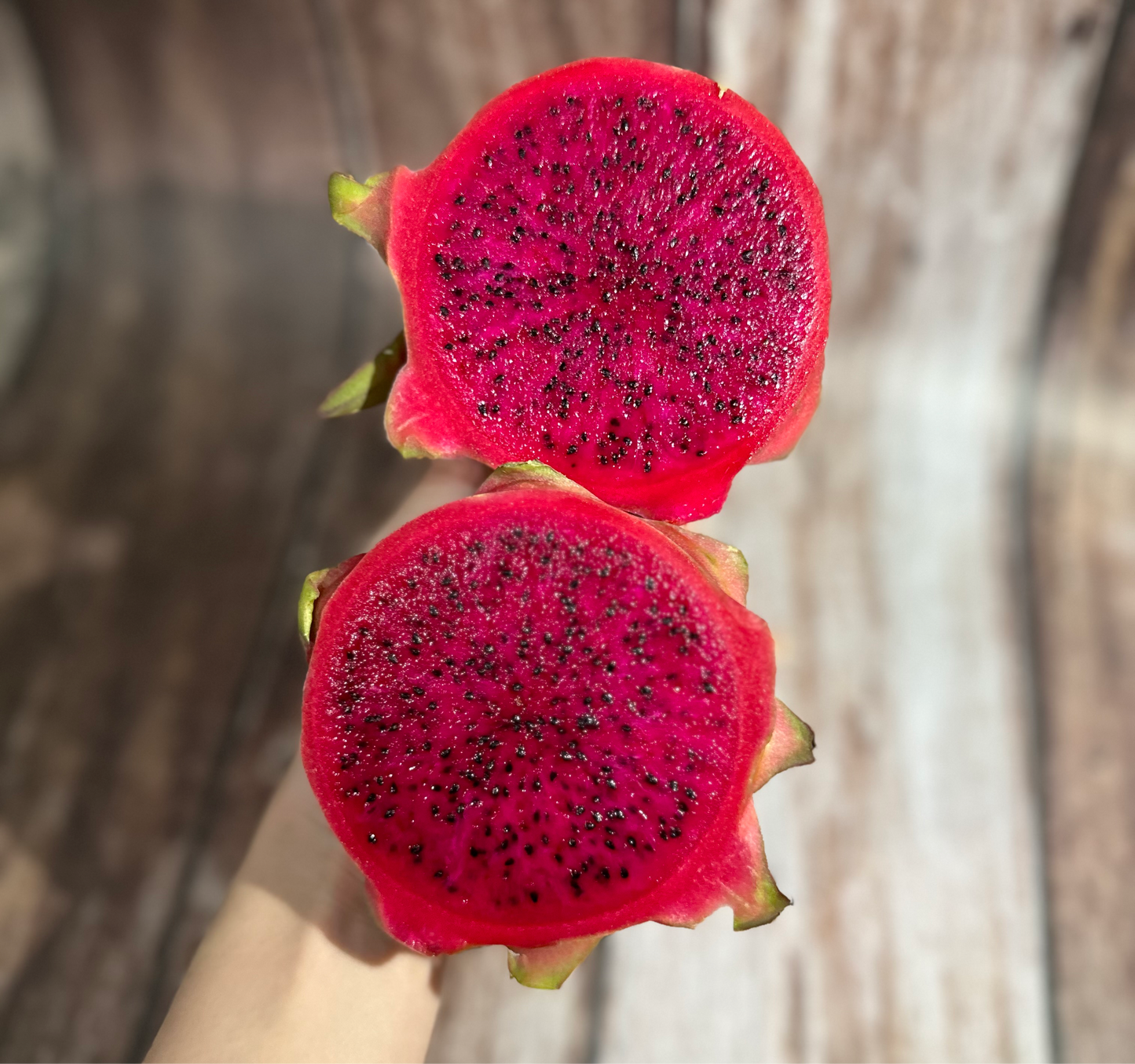 Red Dragonfruit (Imported)