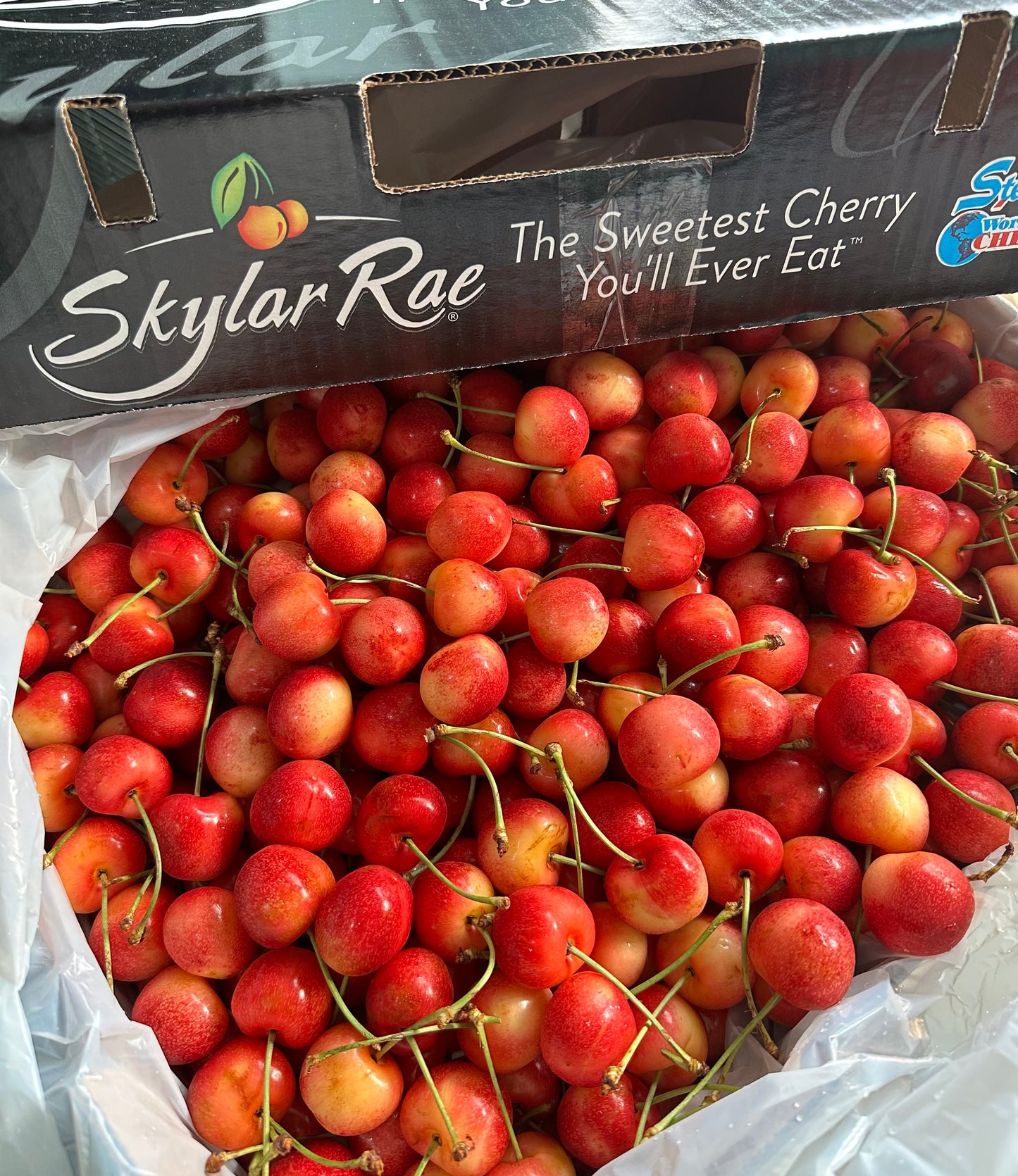 Skylar Rae Cherries