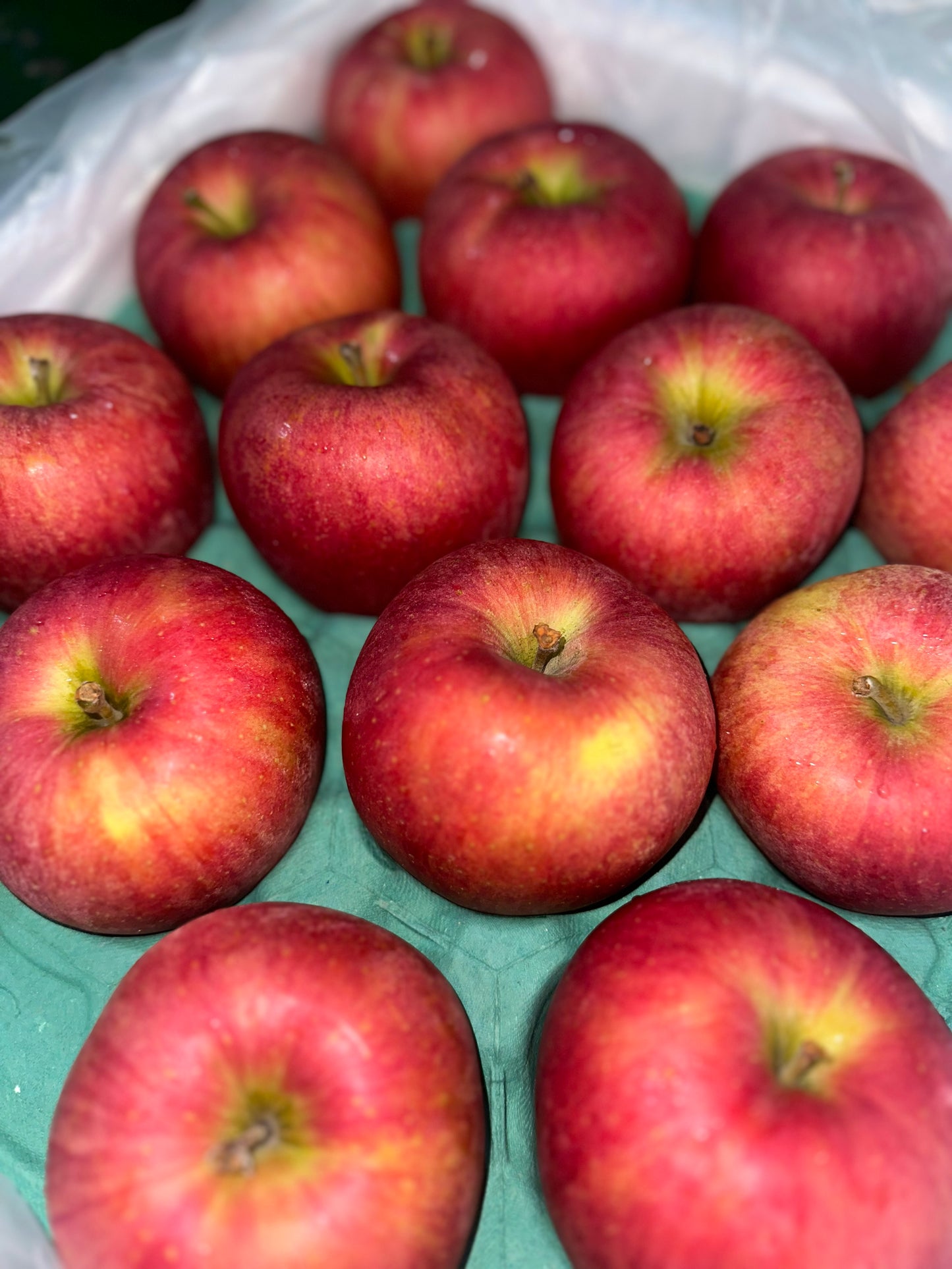 Japanese Red Apples