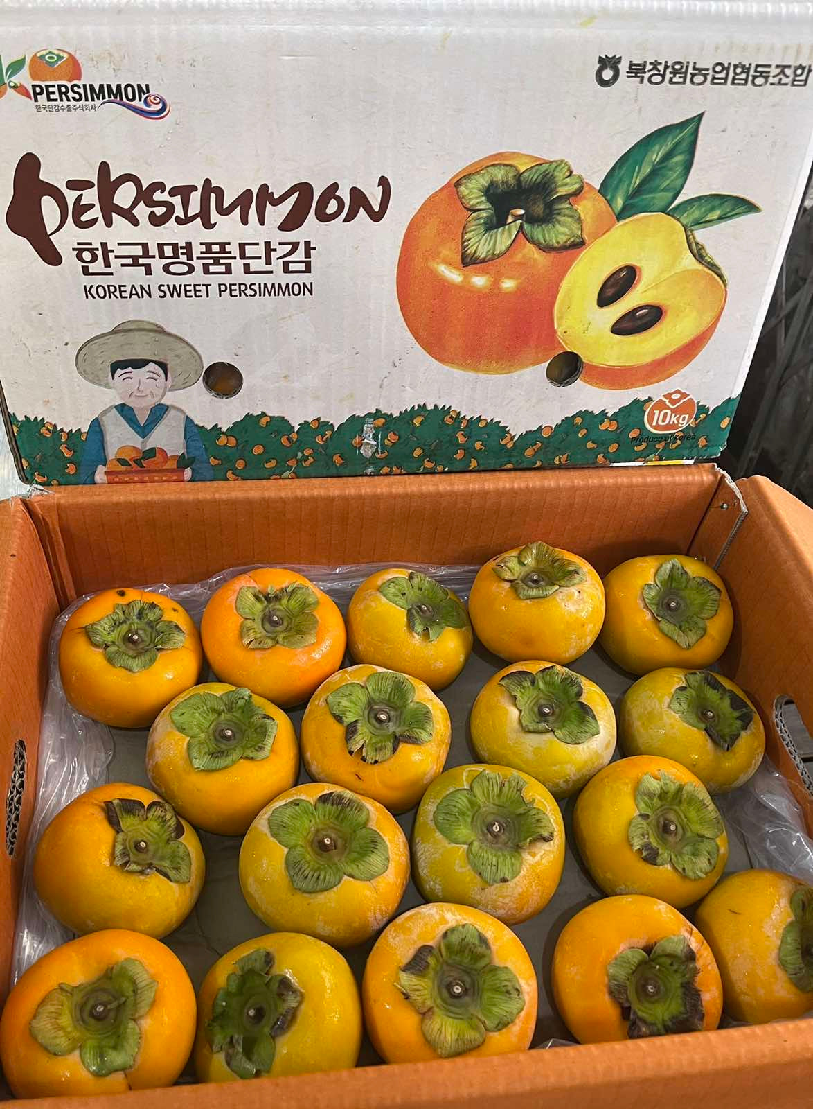 Korean Persimmon