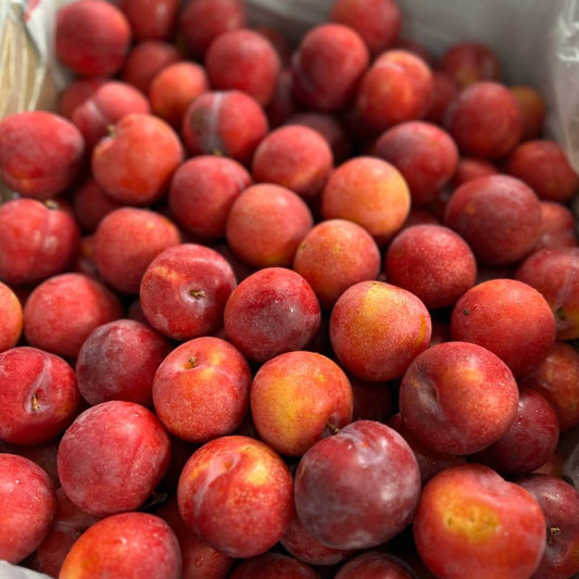 Amber Jewel Plums