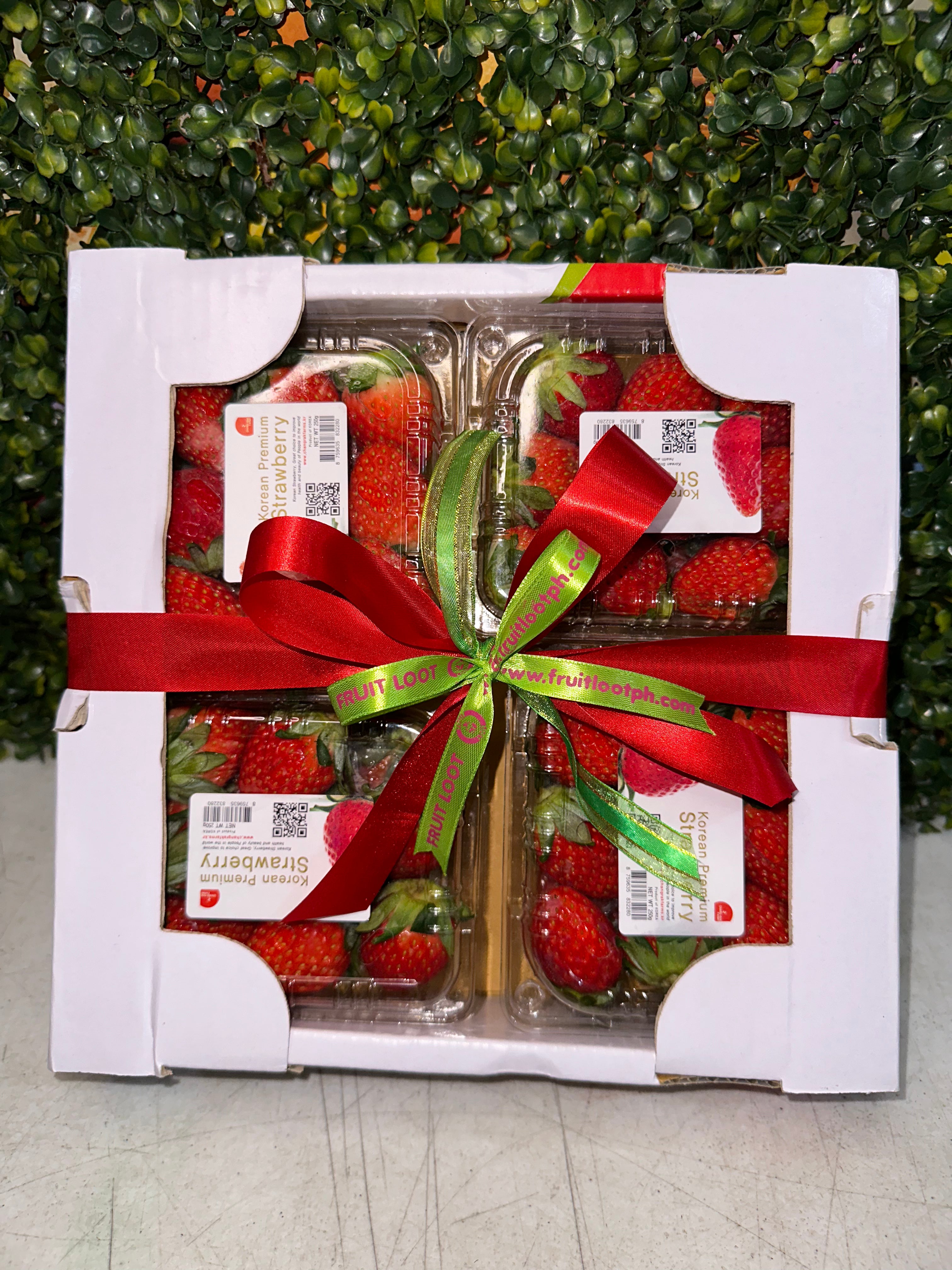 Korean Strawberry Gift Box