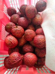 Seedless lychees