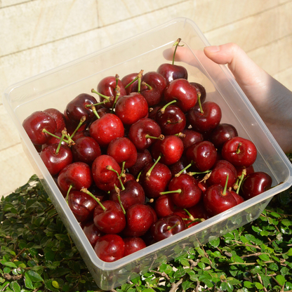 Red Cherries