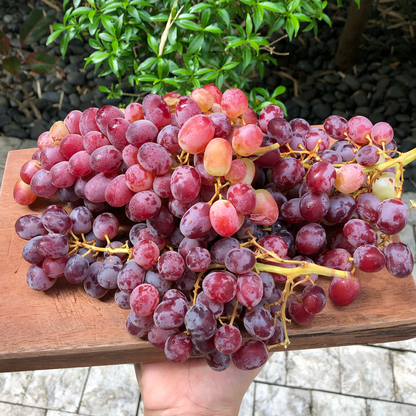 Red Grapes