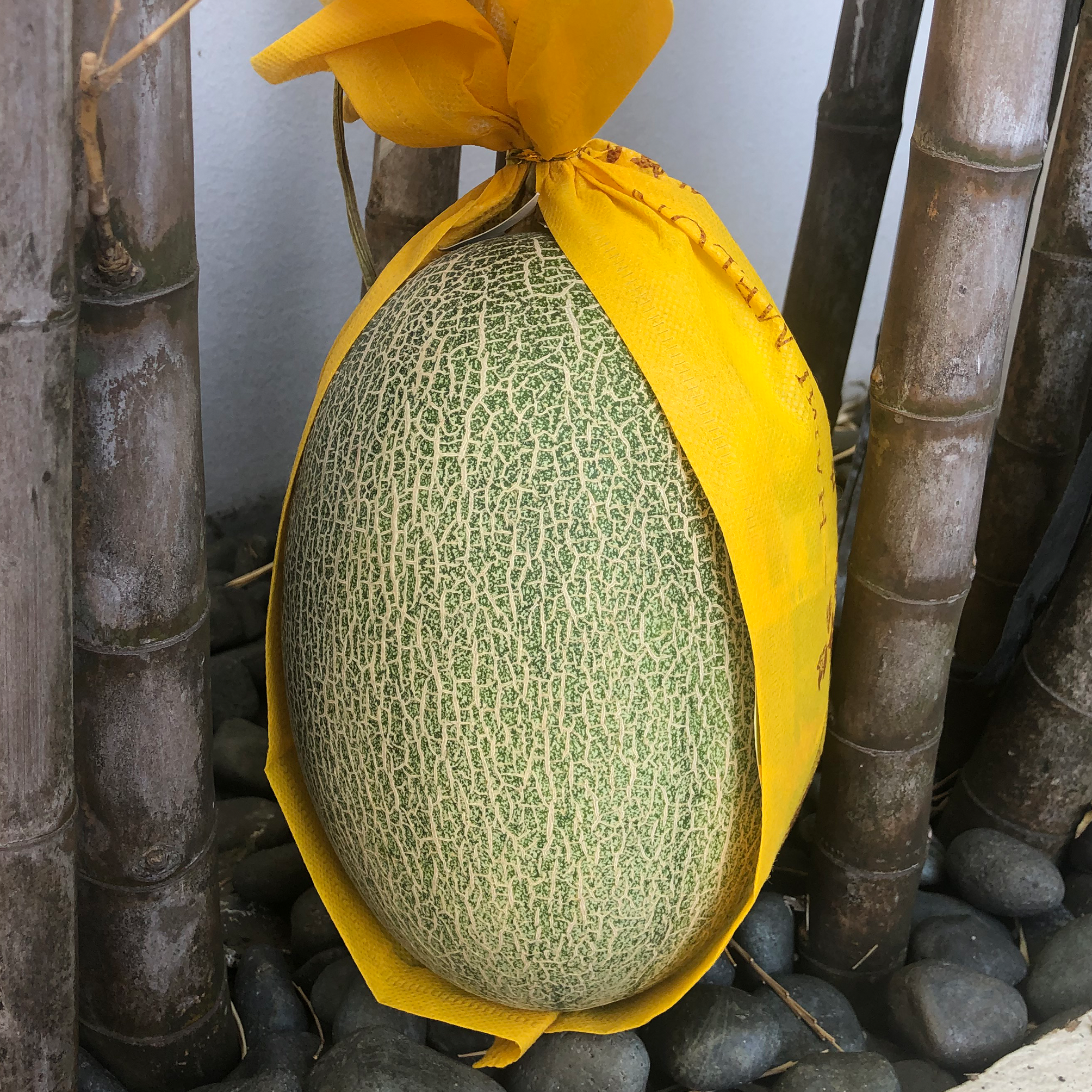 Hami Melon