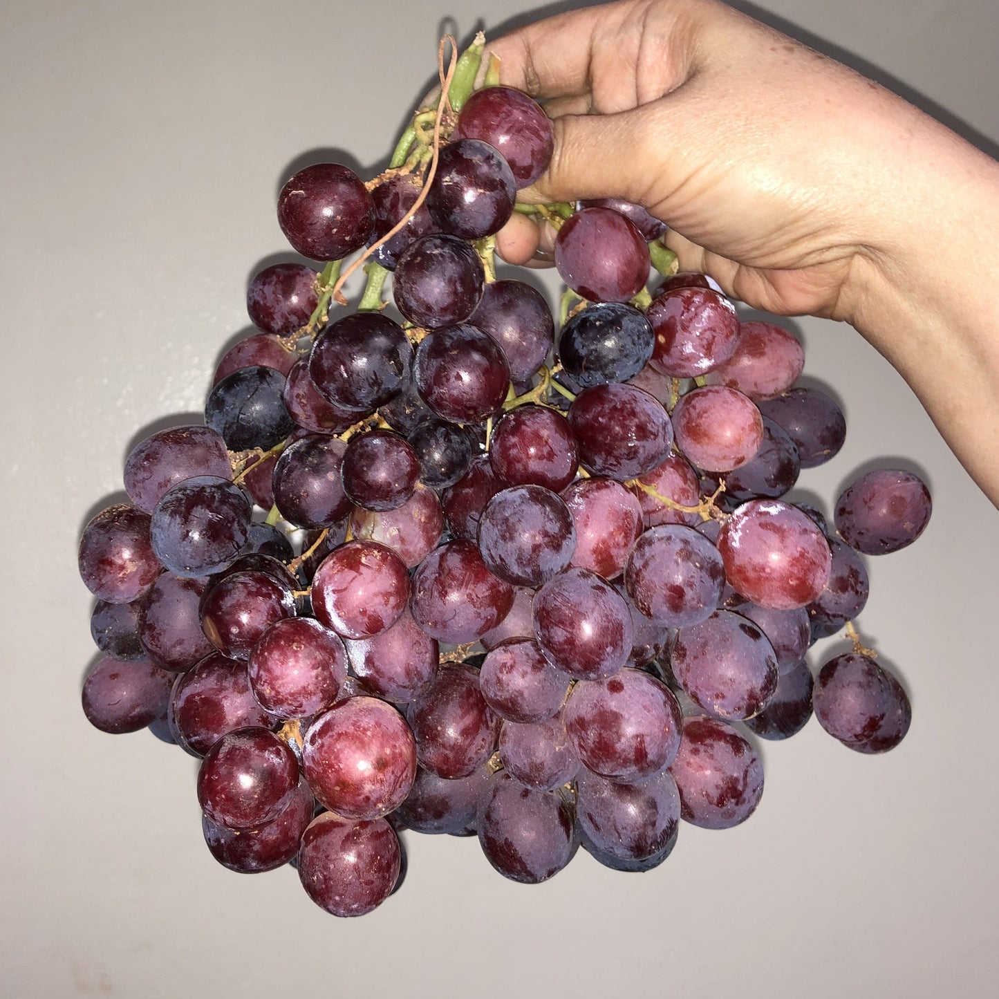 Red Grapes