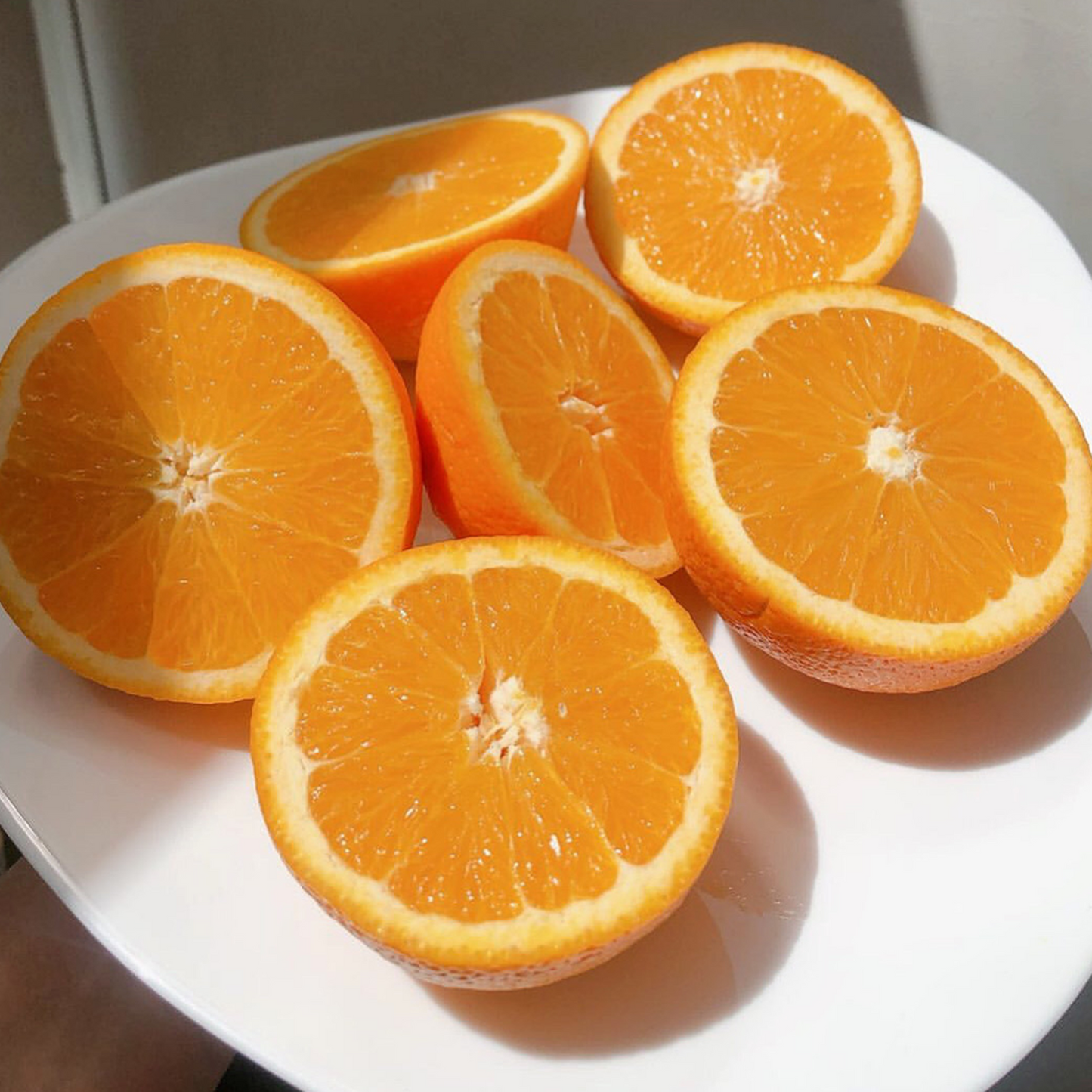 Navel Oranges (big)