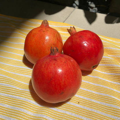 Pomegranates