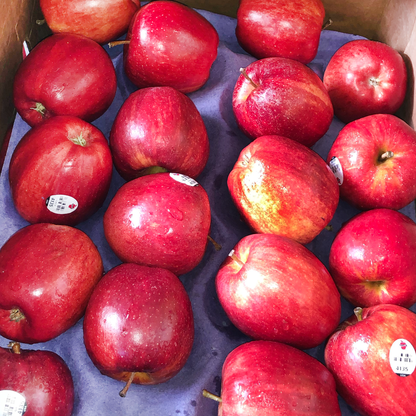 Red Delicious Apples