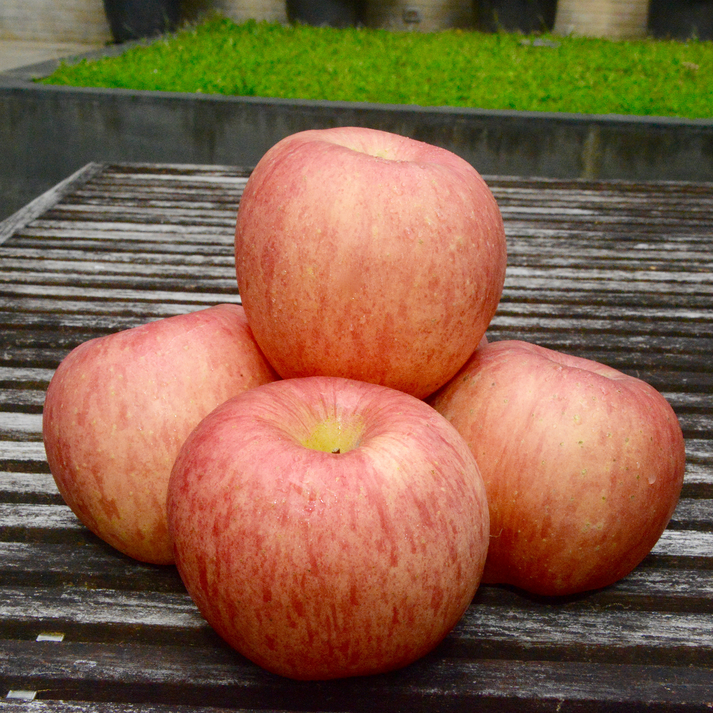 Fuji Apples