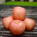 Load image into Gallery viewer, Fuji Apples
