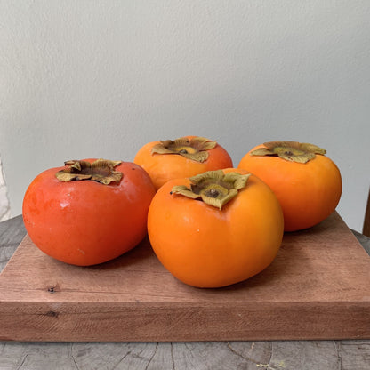 Persimmon