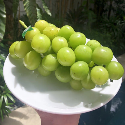 Shine Muscat Grapes