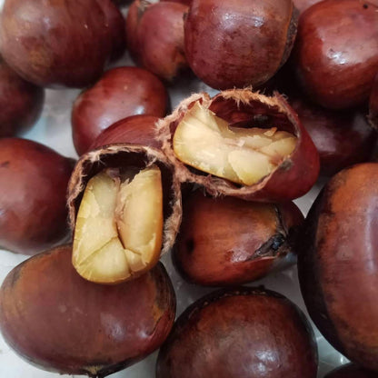 Chestnuts