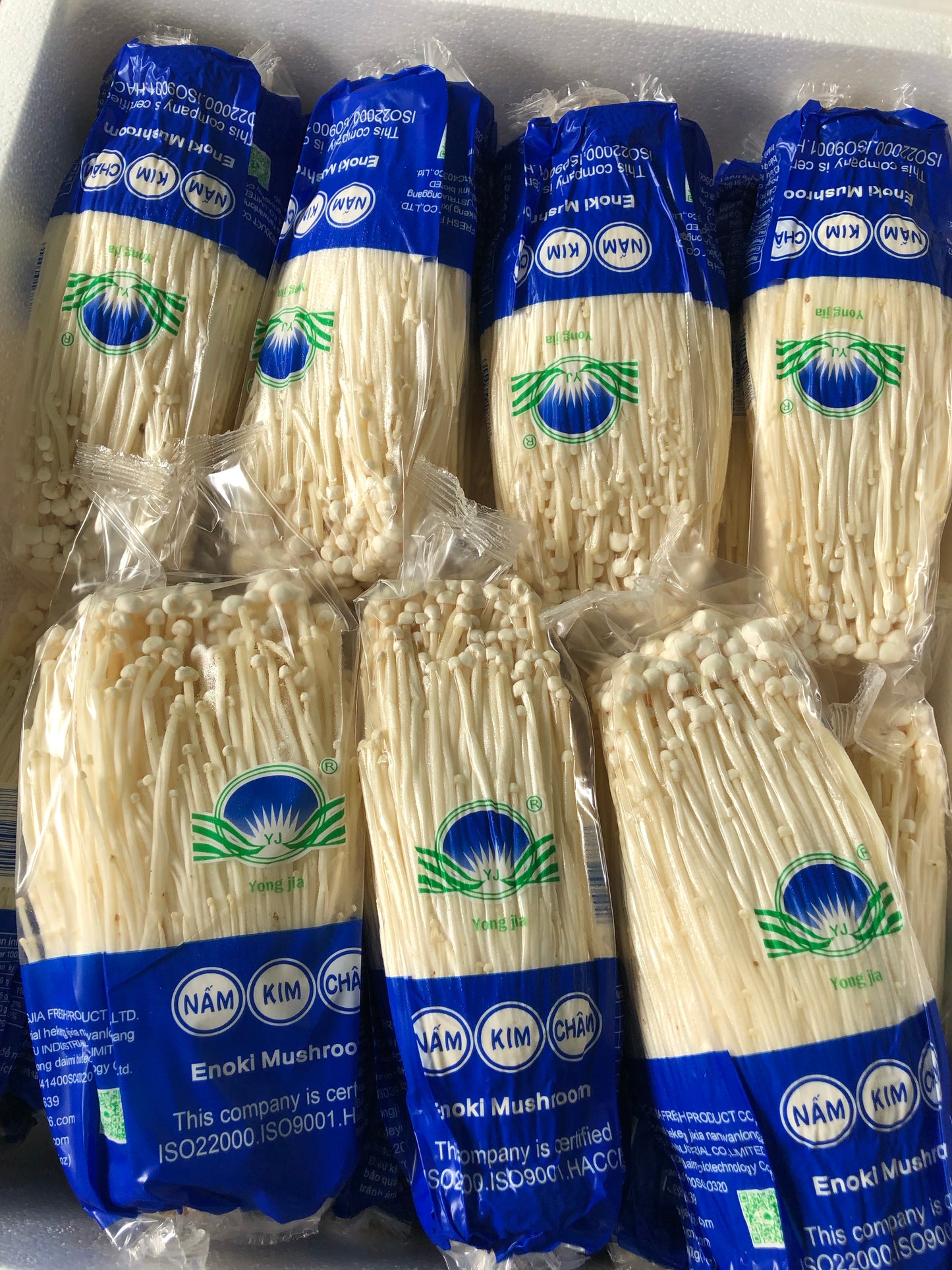 Enoki Mushroom