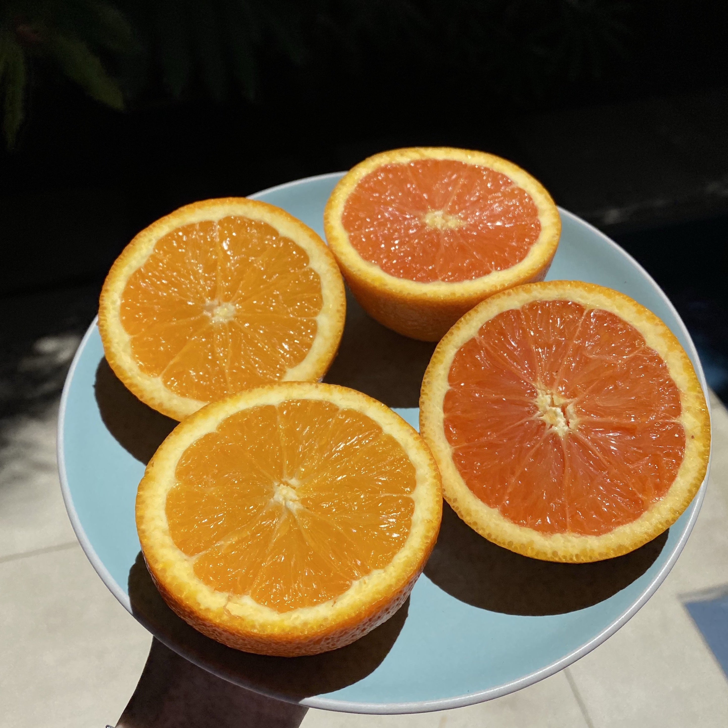 Orange Mixer