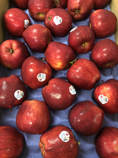 Red Delicious Apples