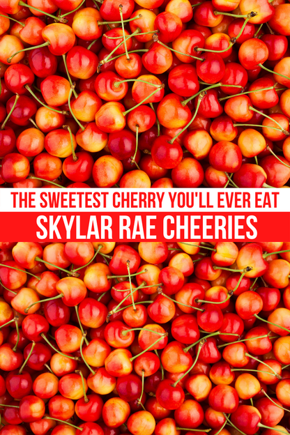 Skylar Rae Cherries