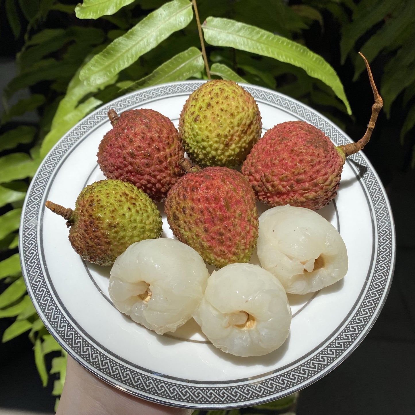 Lychees