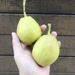 Fragrant Pears