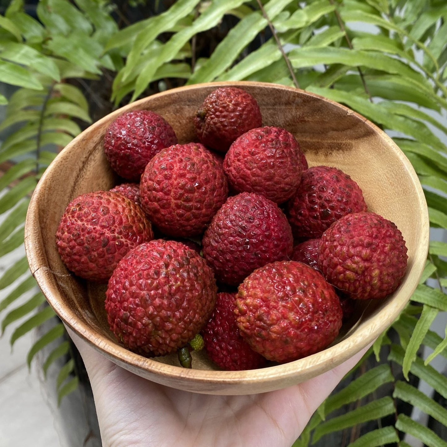 Lychees