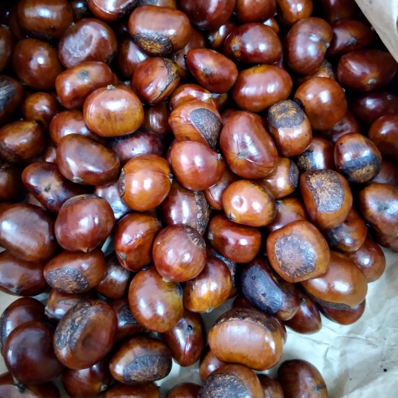 Chestnuts