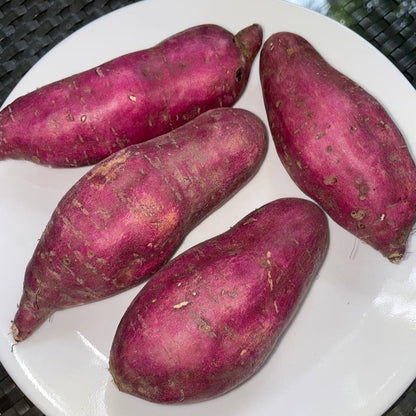 Japanese Sweet Potato (Yellow)