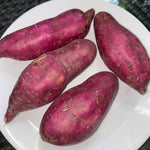 Load image into Gallery viewer, Sweet Potato (Yellow)
