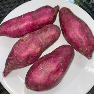 Sweet Potato (Yellow)
