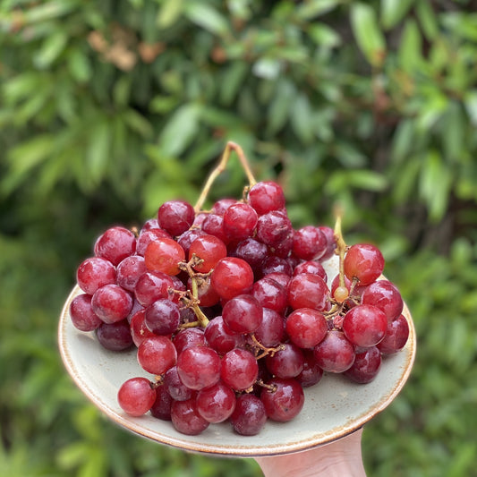 Red Grapes
