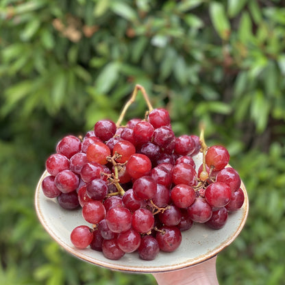 Red Grapes