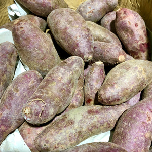 Sweet Potato (Purple)