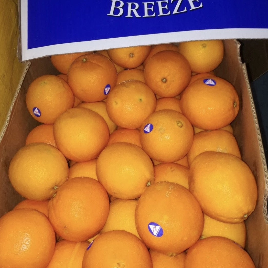 Navel Oranges (big)