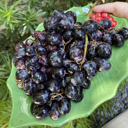 Midnight Beauty Black Grapes