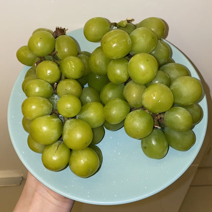 Shine Muscat Grapes